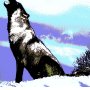 vereinsbuch_wolf.jpg